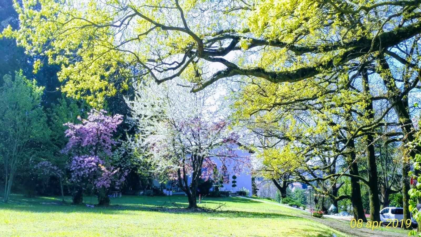 "La Selvetta" Bed And Breakfast Buguggiate Εξωτερικό φωτογραφία