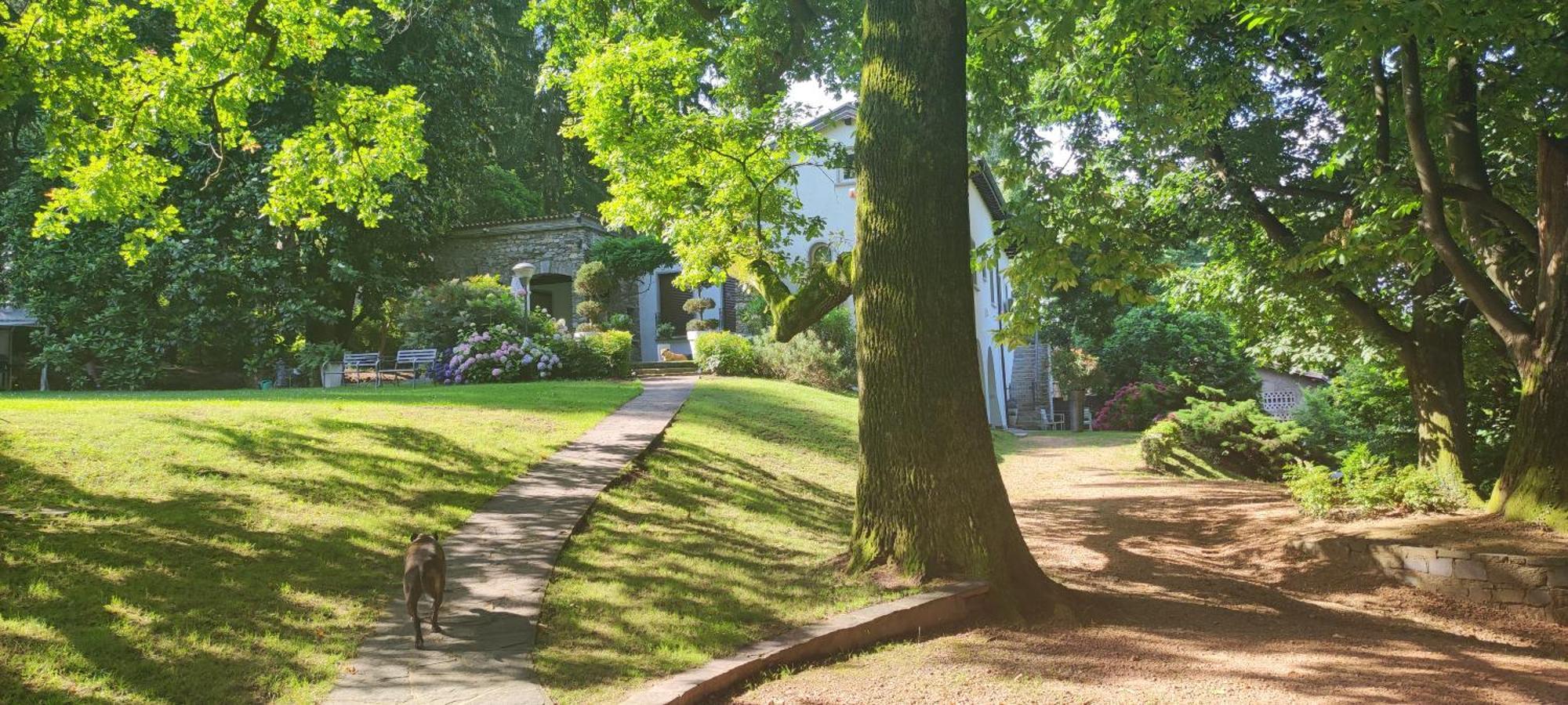 "La Selvetta" Bed And Breakfast Buguggiate Εξωτερικό φωτογραφία