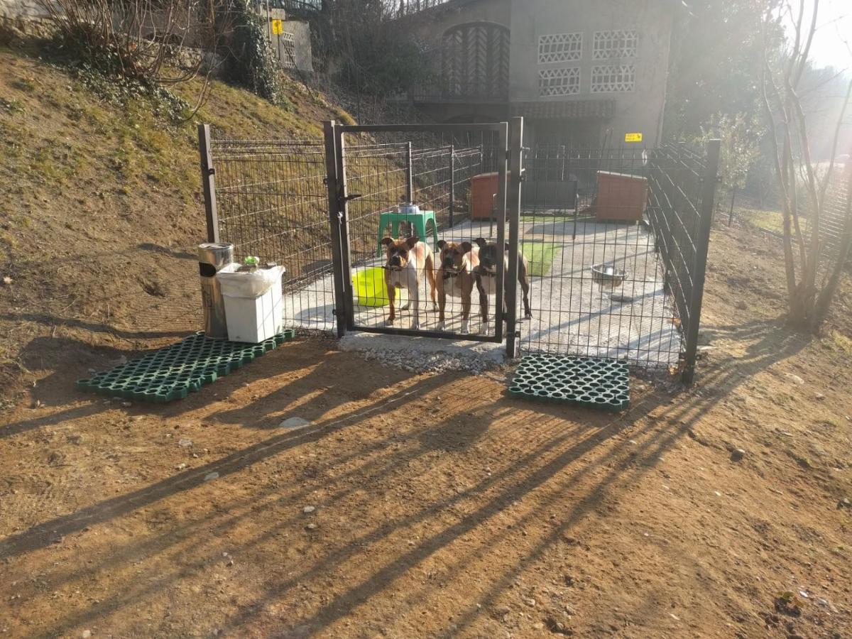 "La Selvetta" Bed And Breakfast Buguggiate Εξωτερικό φωτογραφία